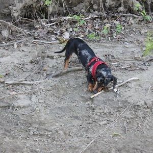 Meet your Posher, Sam